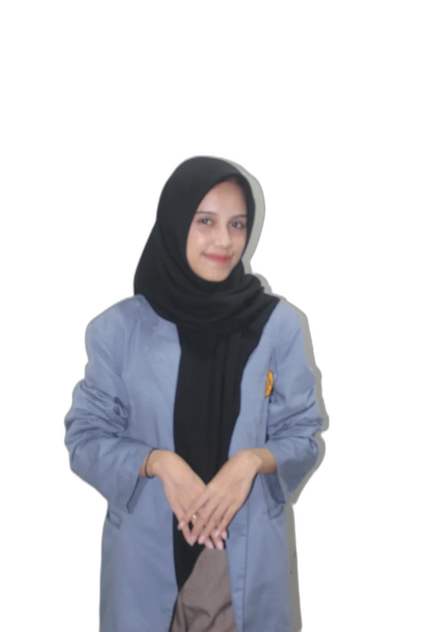 Ketua Komisi V